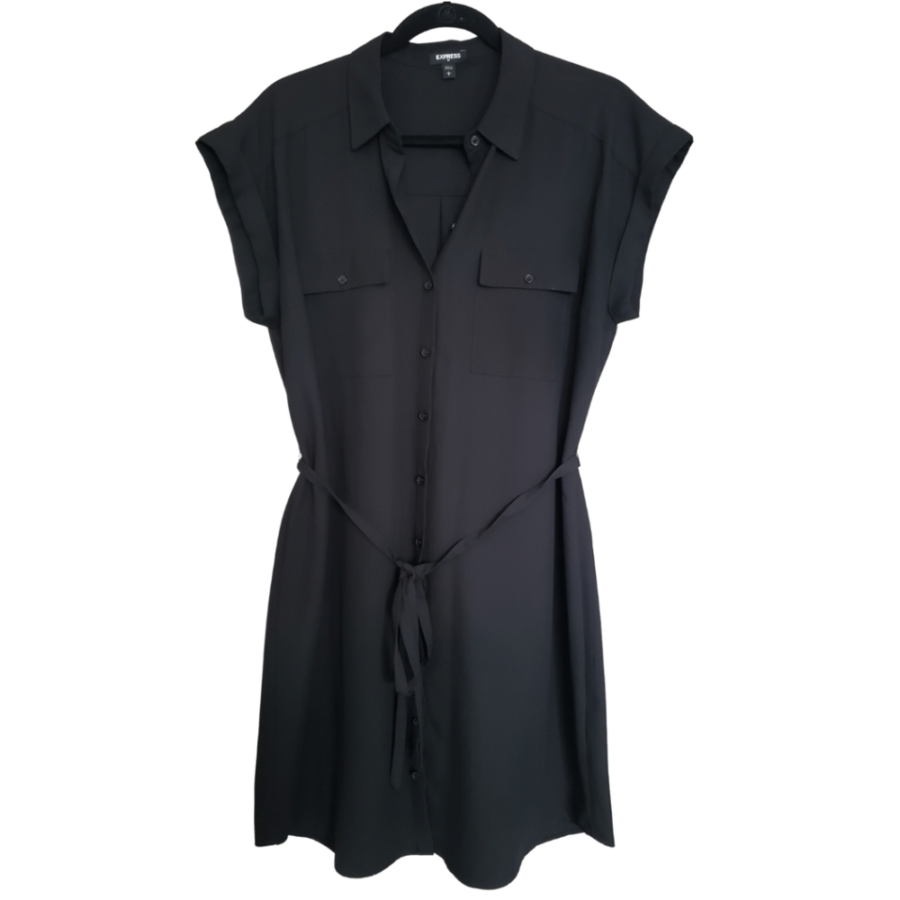 Express Black Button Down Dress